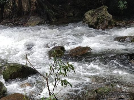 coorg_Irupu Falls_5